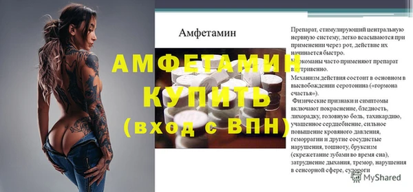 стафф Алексин