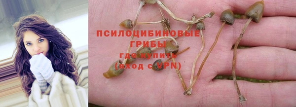 шишки Абаза