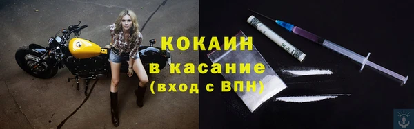 шишки Абаза
