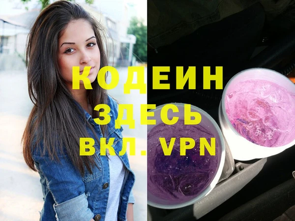 шишки Абаза
