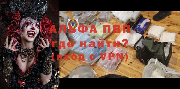 стафф Алексин