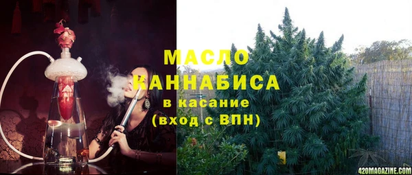 шишки Абаза