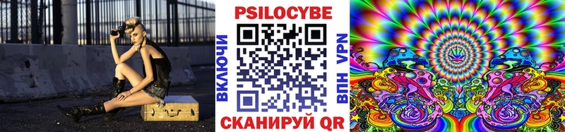 дарнет шоп  Батайск  Галлюциногенные грибы Cubensis 
